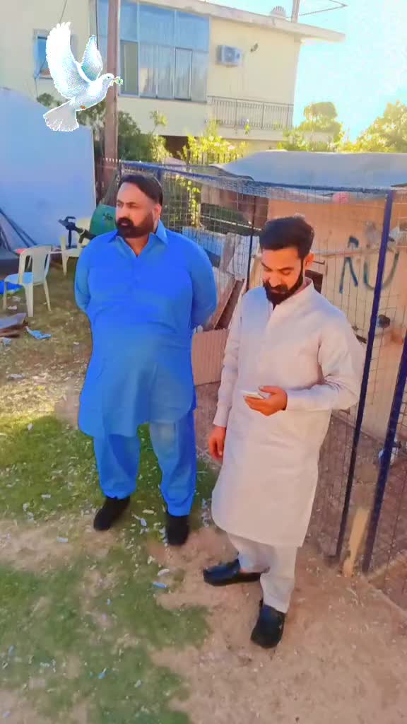 @Ch Shafaad Gujjar