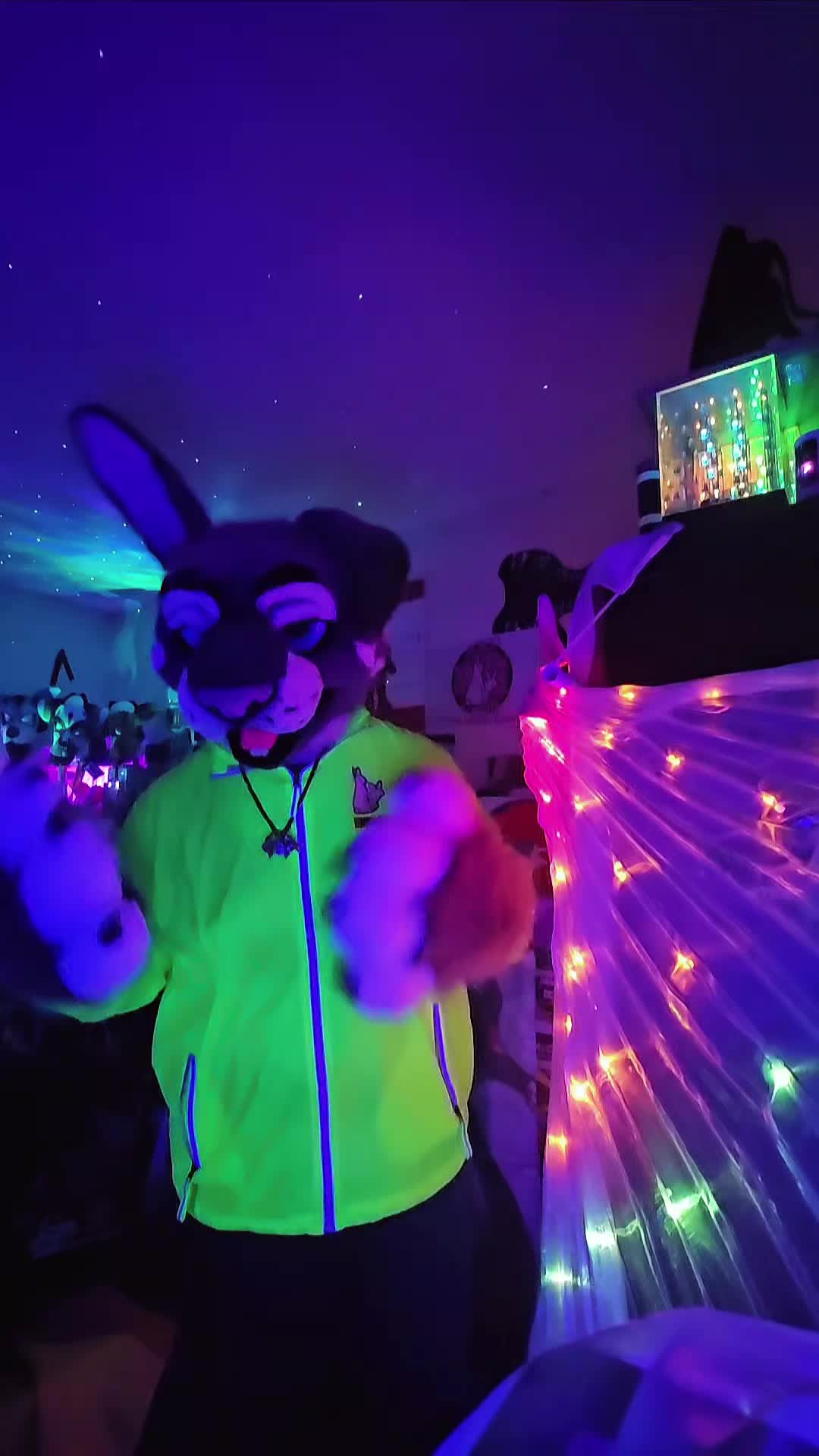 @Difficult Bunny!