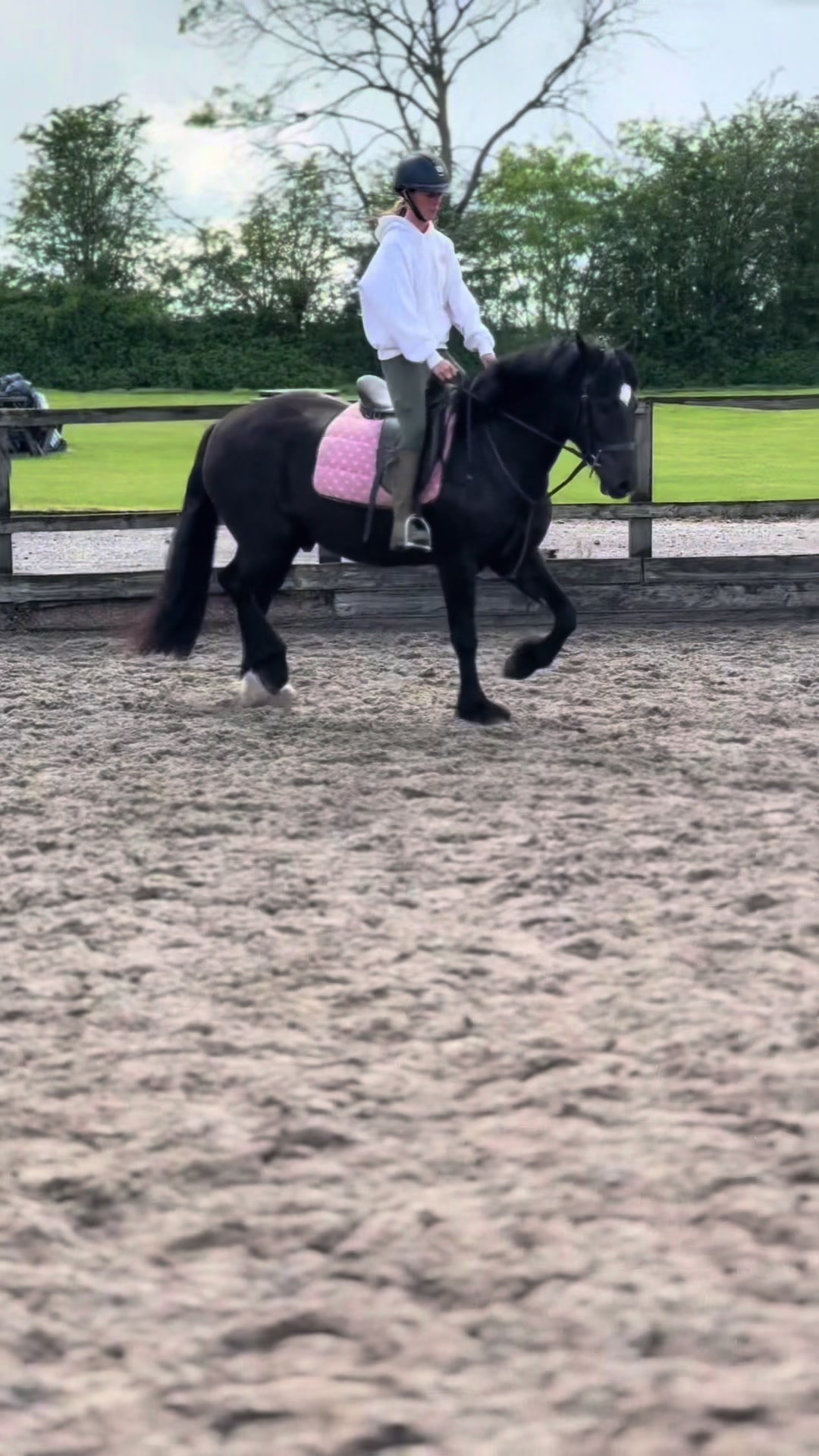 @Sophie&merlin🌸🐴