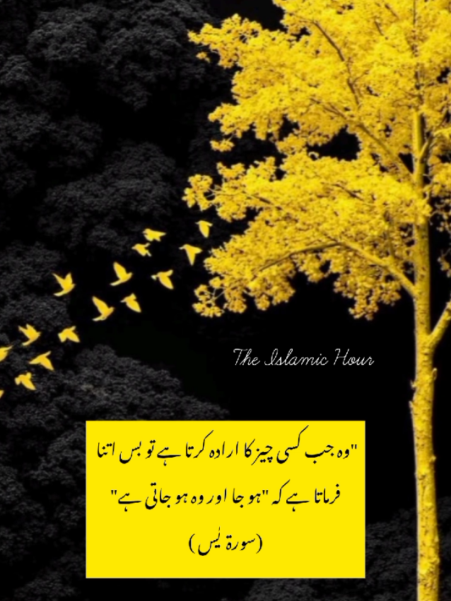 @The Islamic Hour