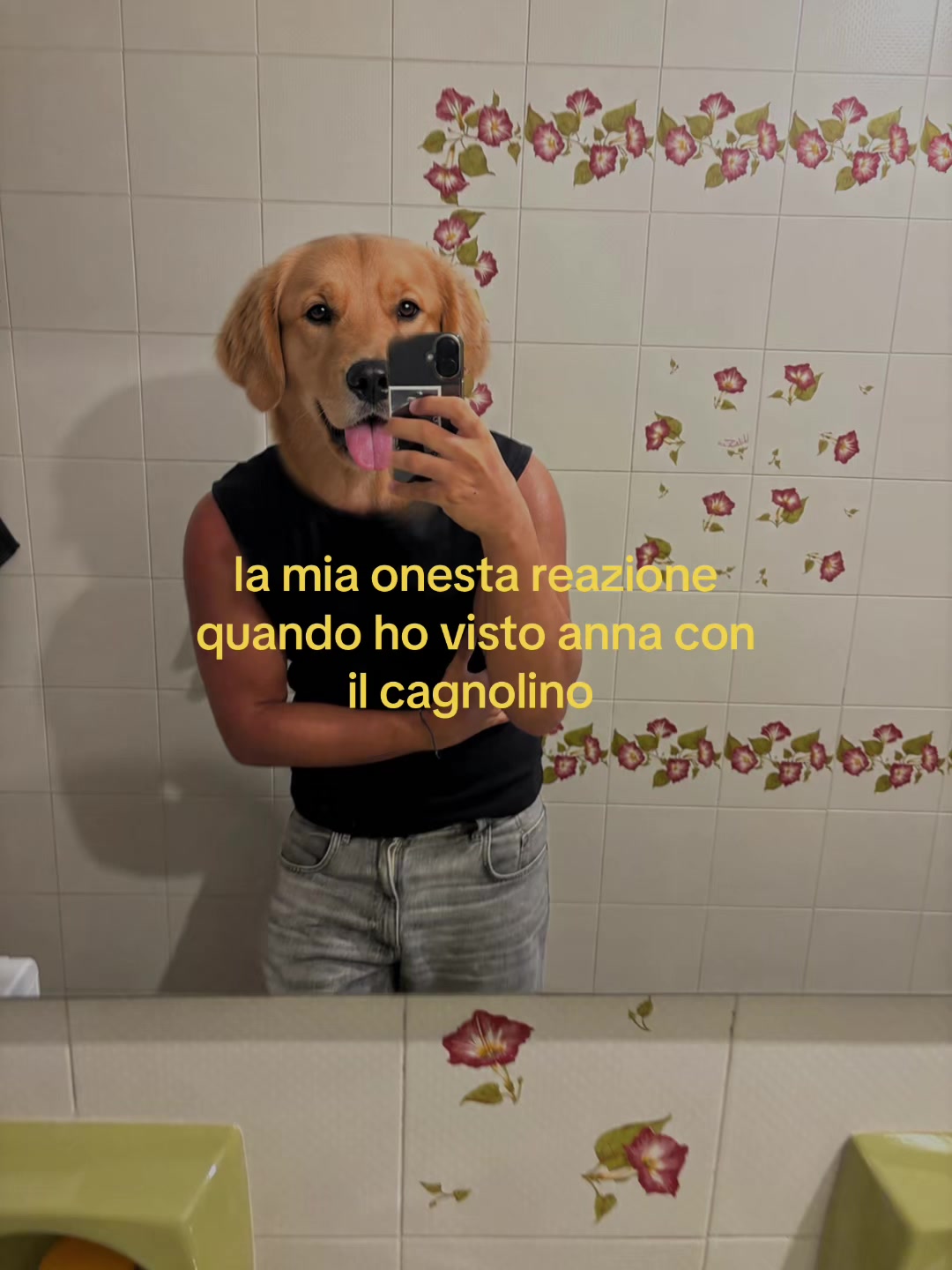 @davi