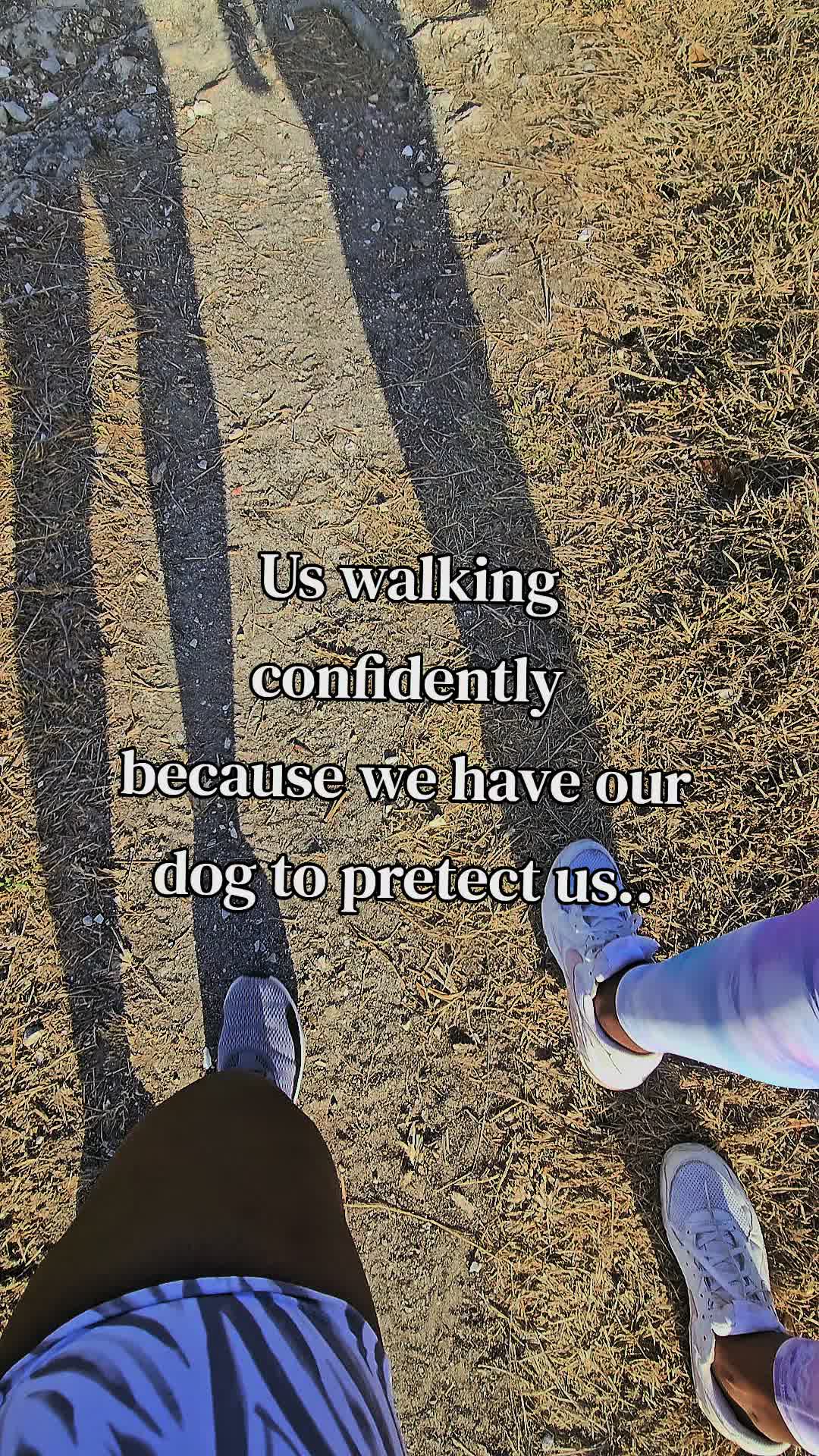 @MixedPetCollective