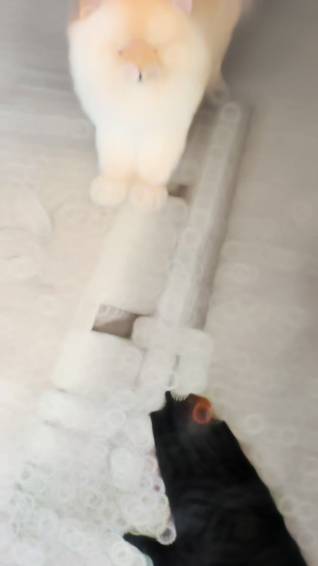 @𝓨𝓪𝓷𝓪 𝓜