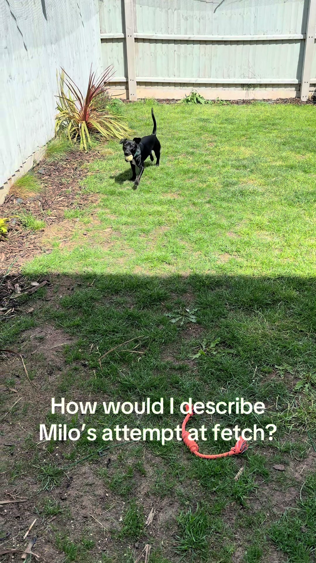 @StopImAlreadyDan