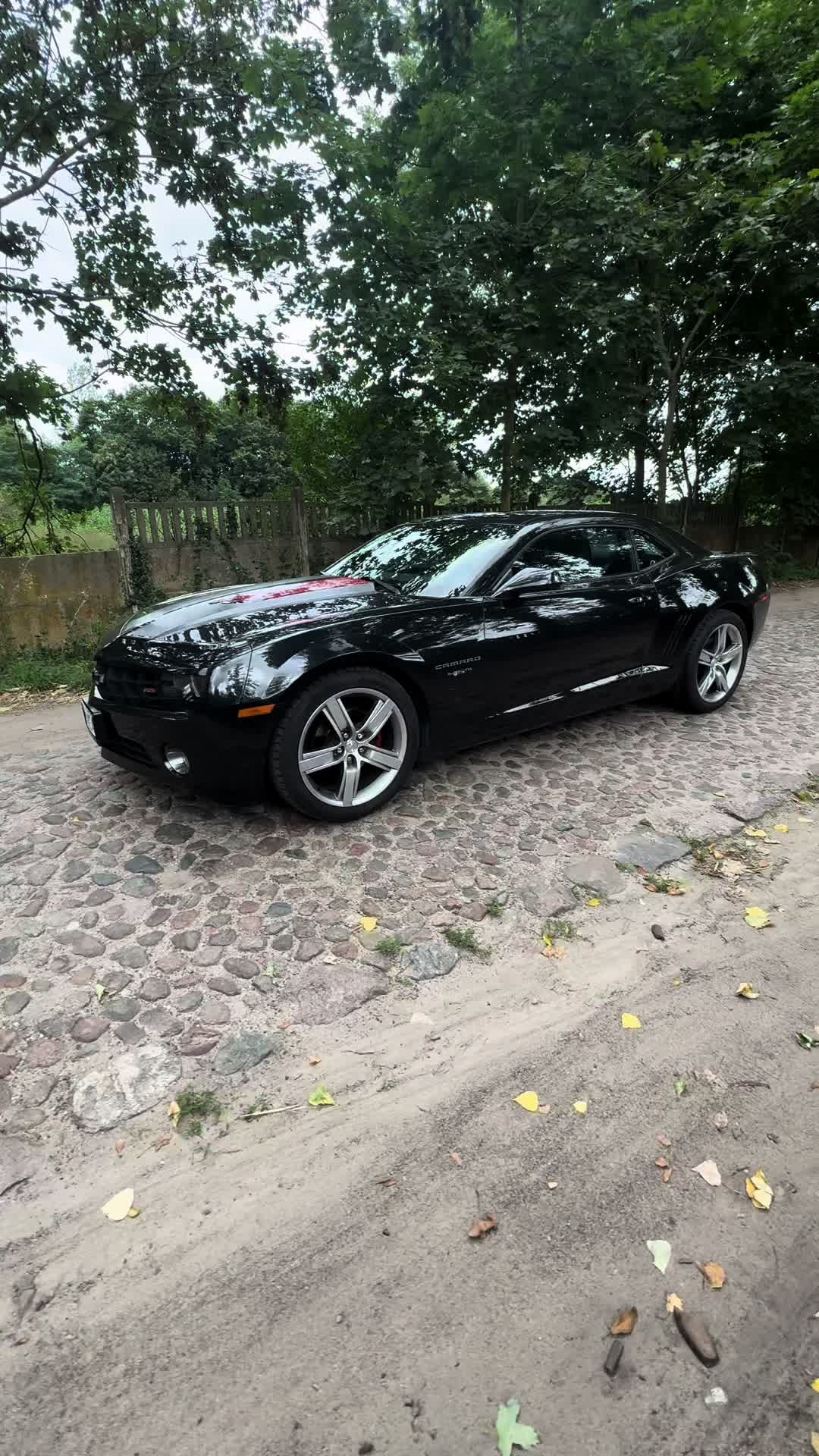 @kriss_camaro45th