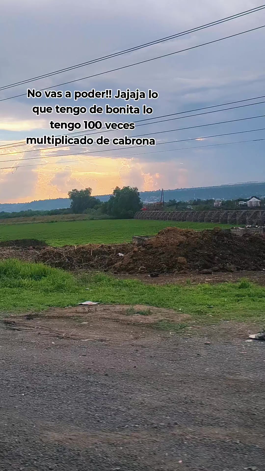 @Rosy Liñan Barajas