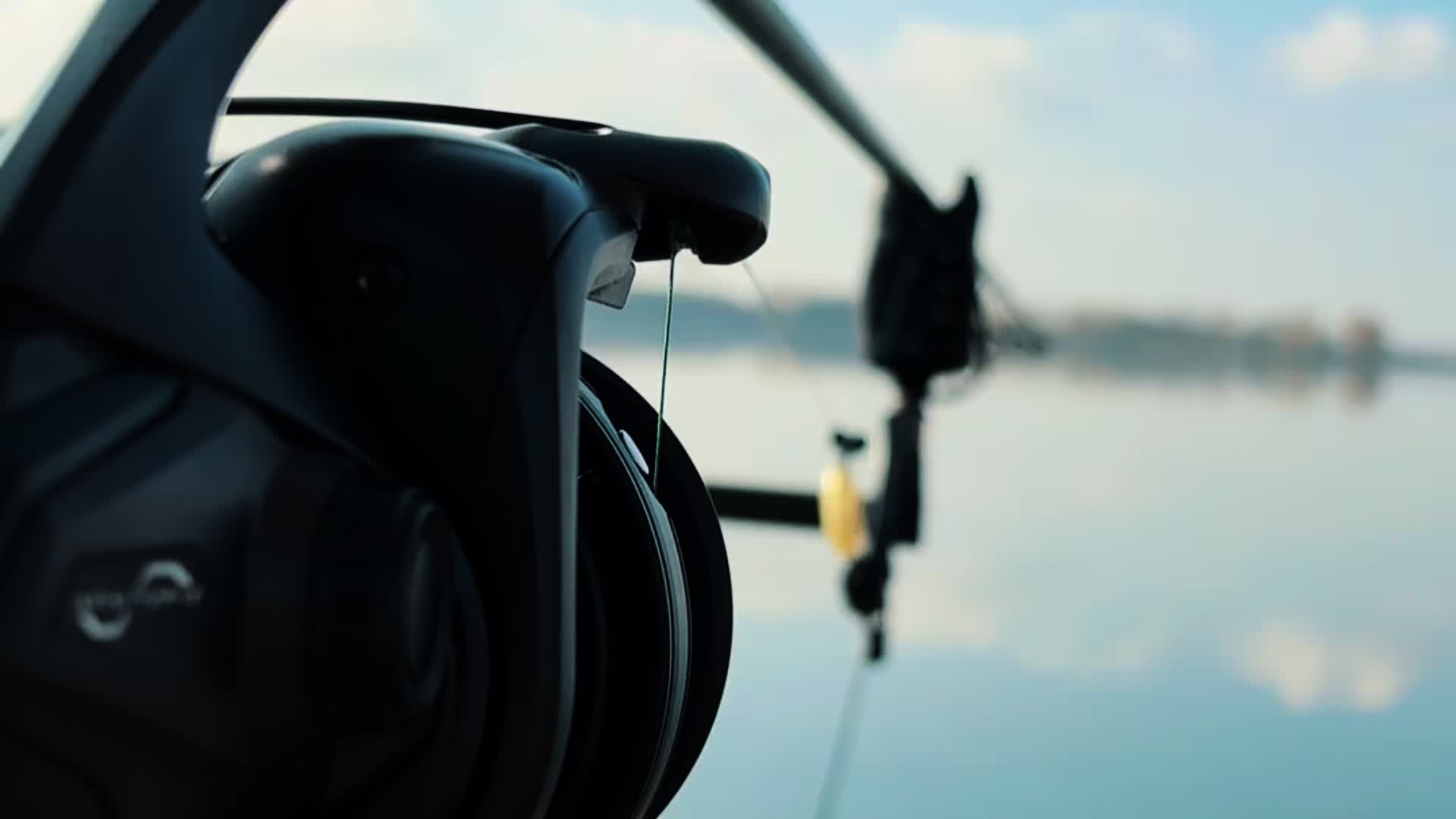 @BlizzCarp