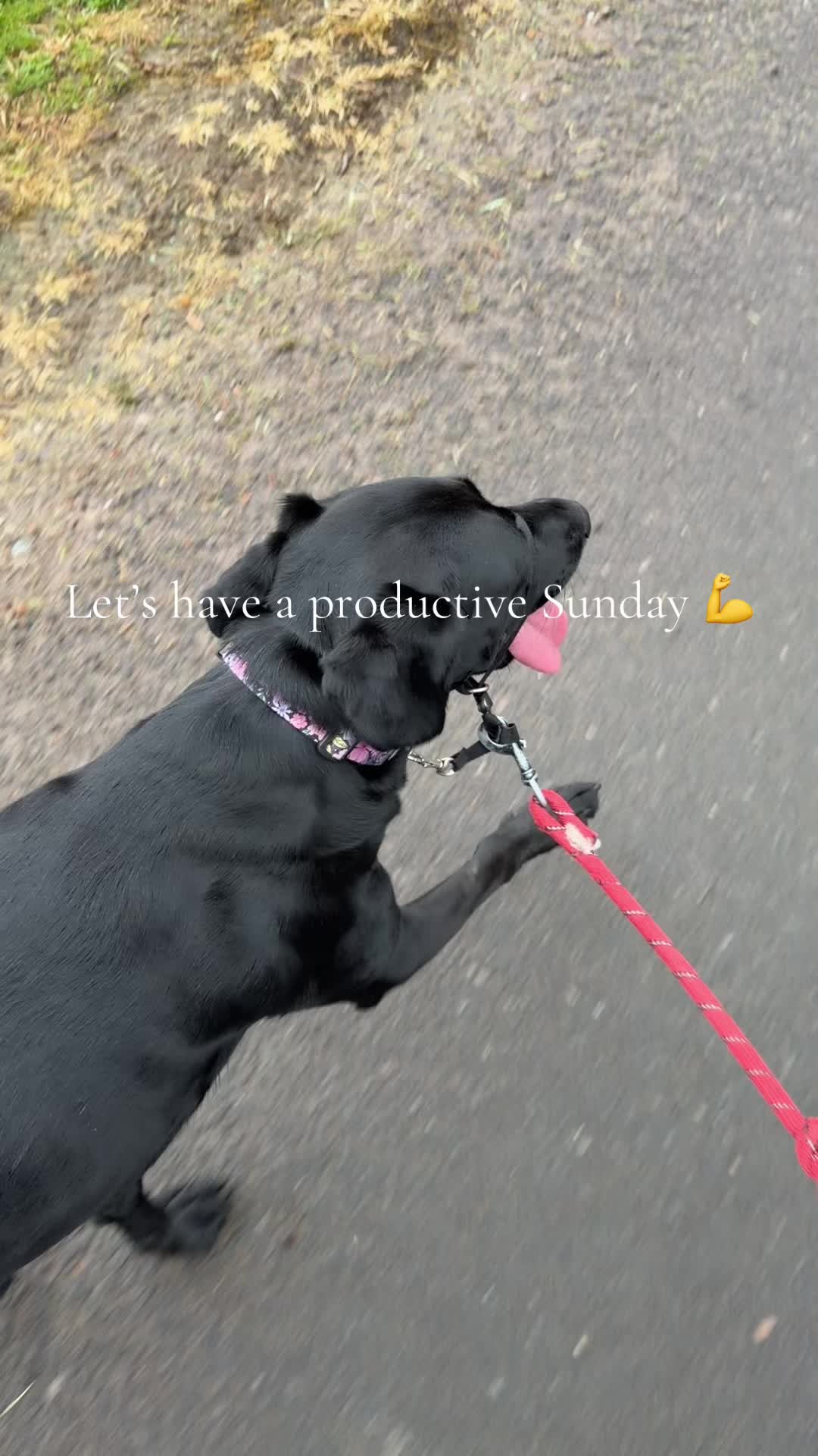 @Penny 🧡 Luna