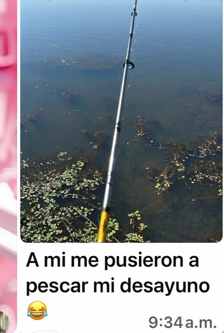 @LaliLauritaLau