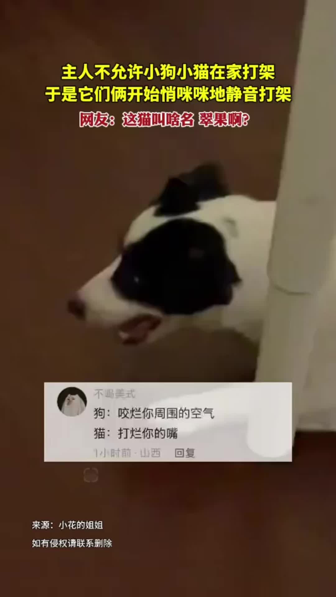 @中国蓝国际