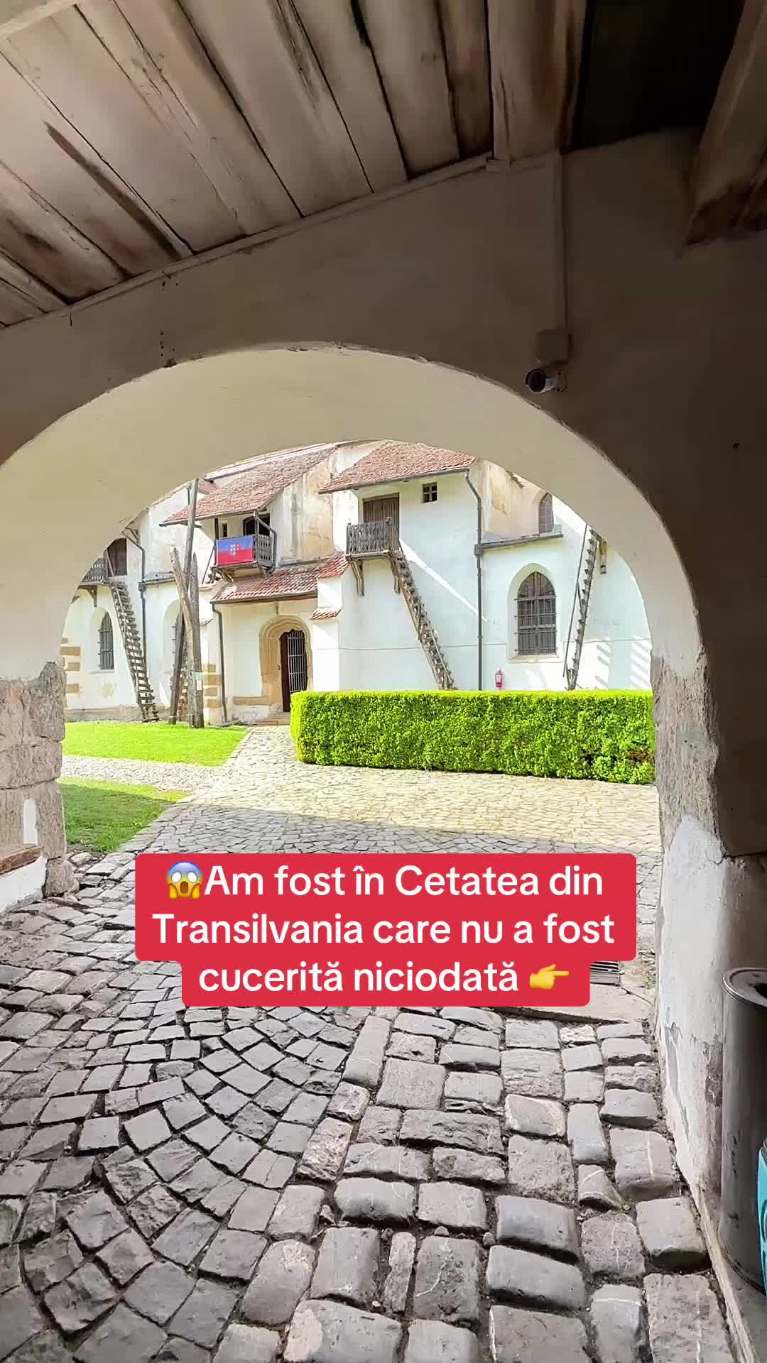 @Anapedia