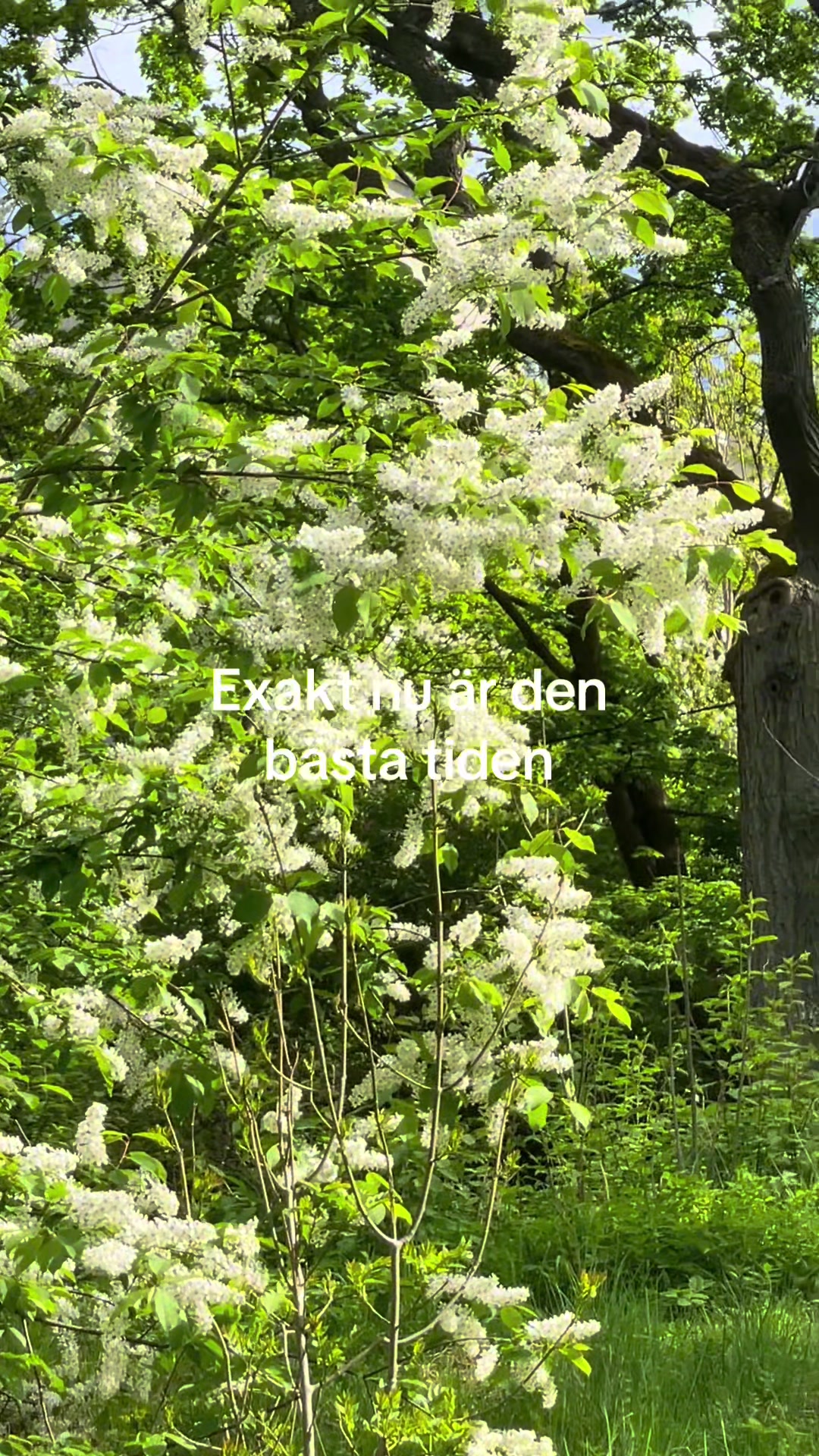 @Nathalie Brydolf