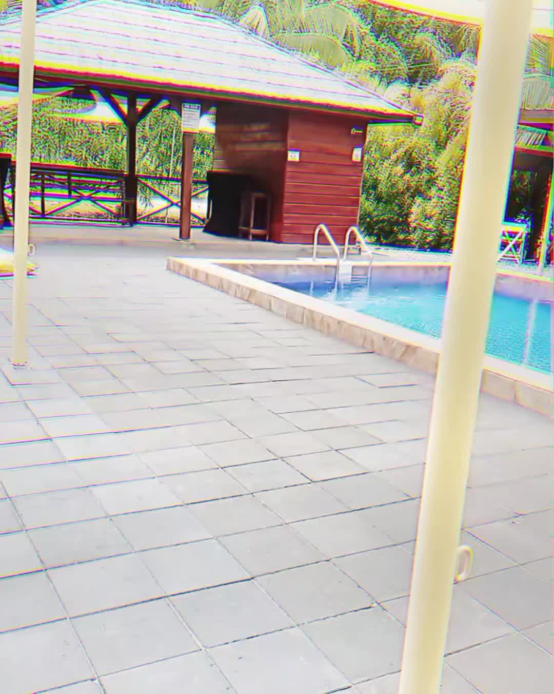 @BIYITIAYITI🇭🇹🇸🇷