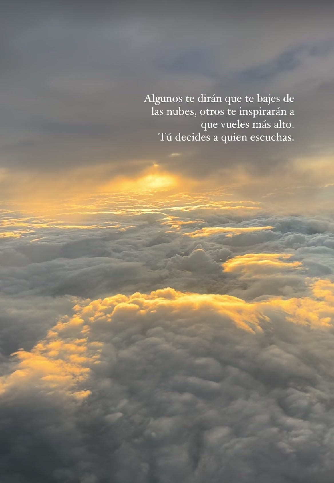 @Patricia Arronal