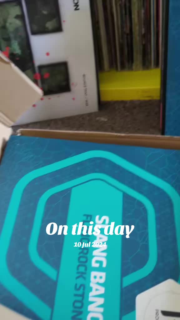 @(Lisa)The Virtual Vinyl Store