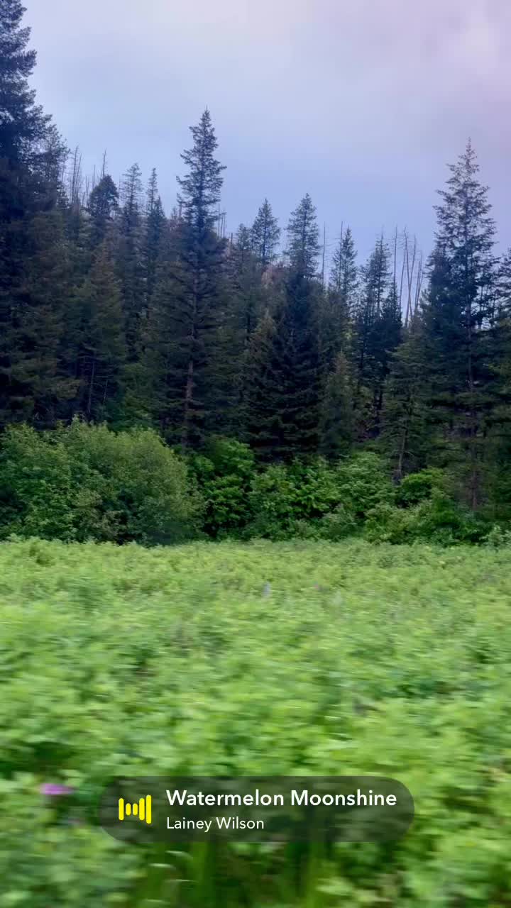 @kelly.mccomish