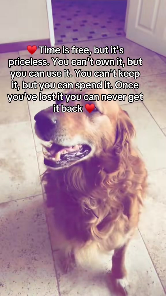 @Happy buddy