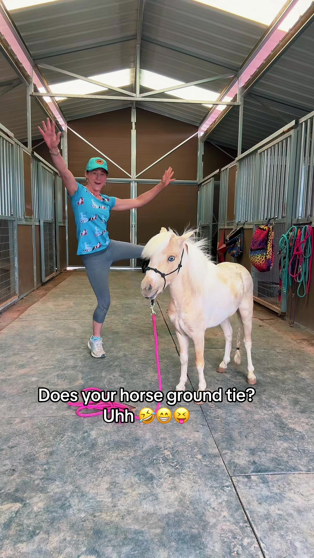 @Star Point Horsemanship