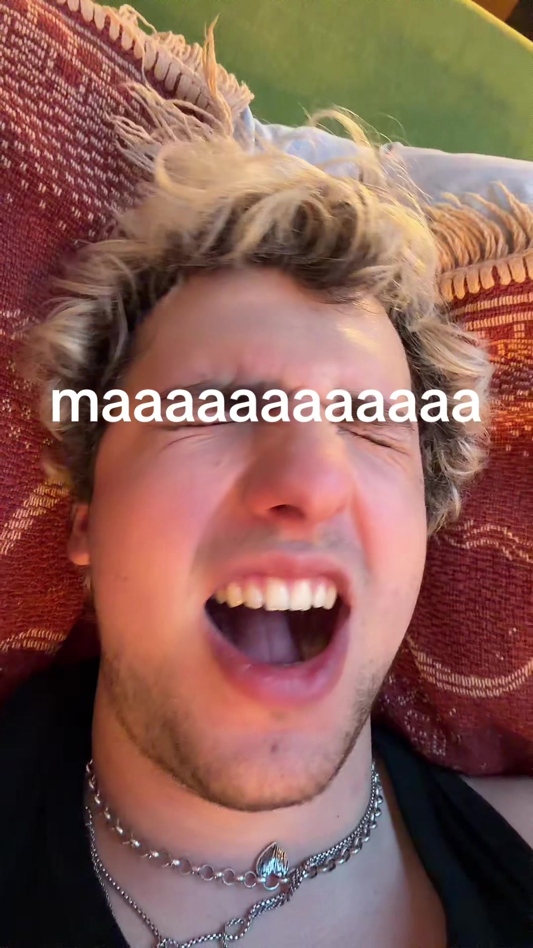@Lajfr