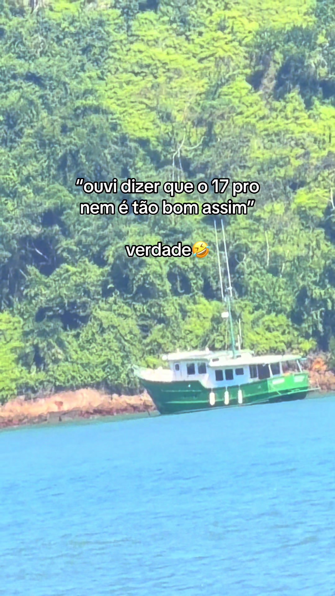 @Mariana Carvalho