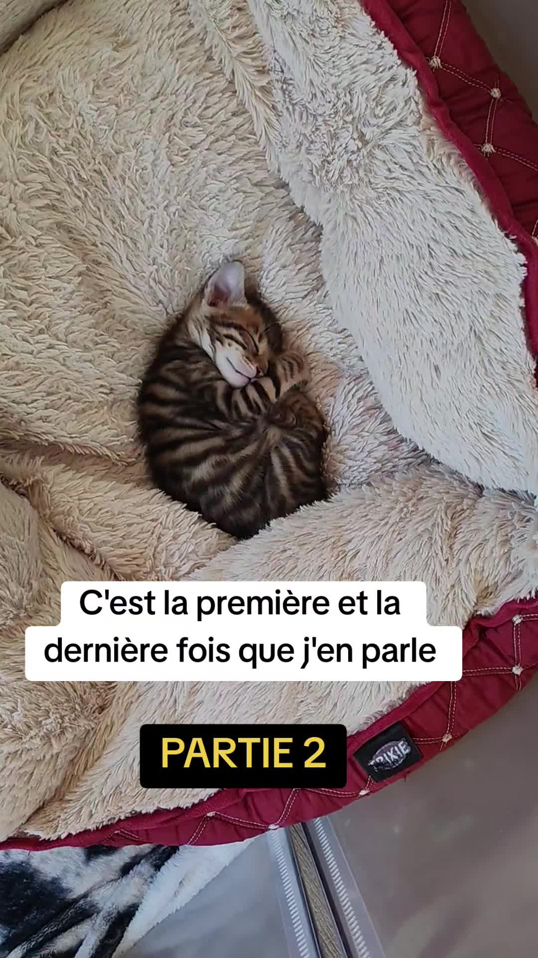 @Galactic Bengal