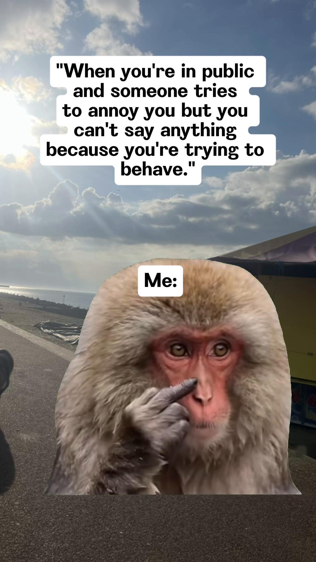 @SJ