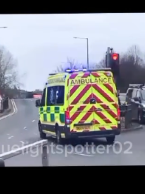 @blue light spotter02