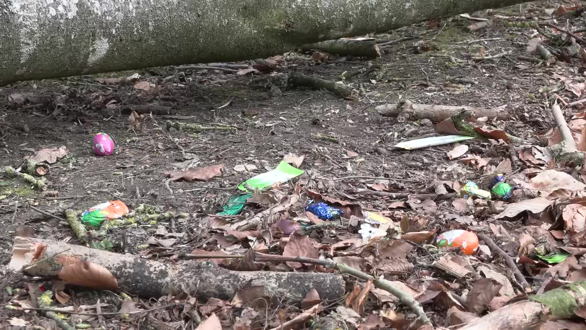 @PresseTV Hamburg