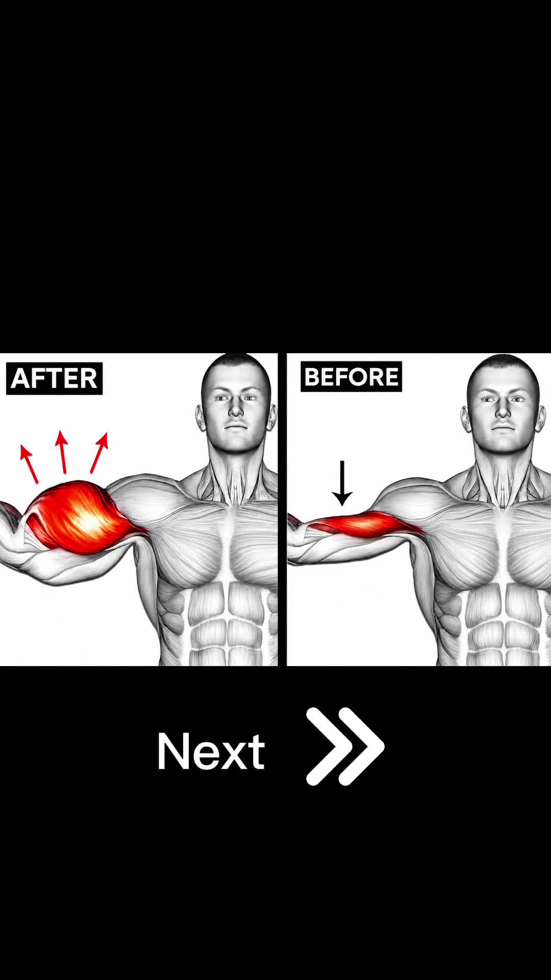 @Mendy Fitness