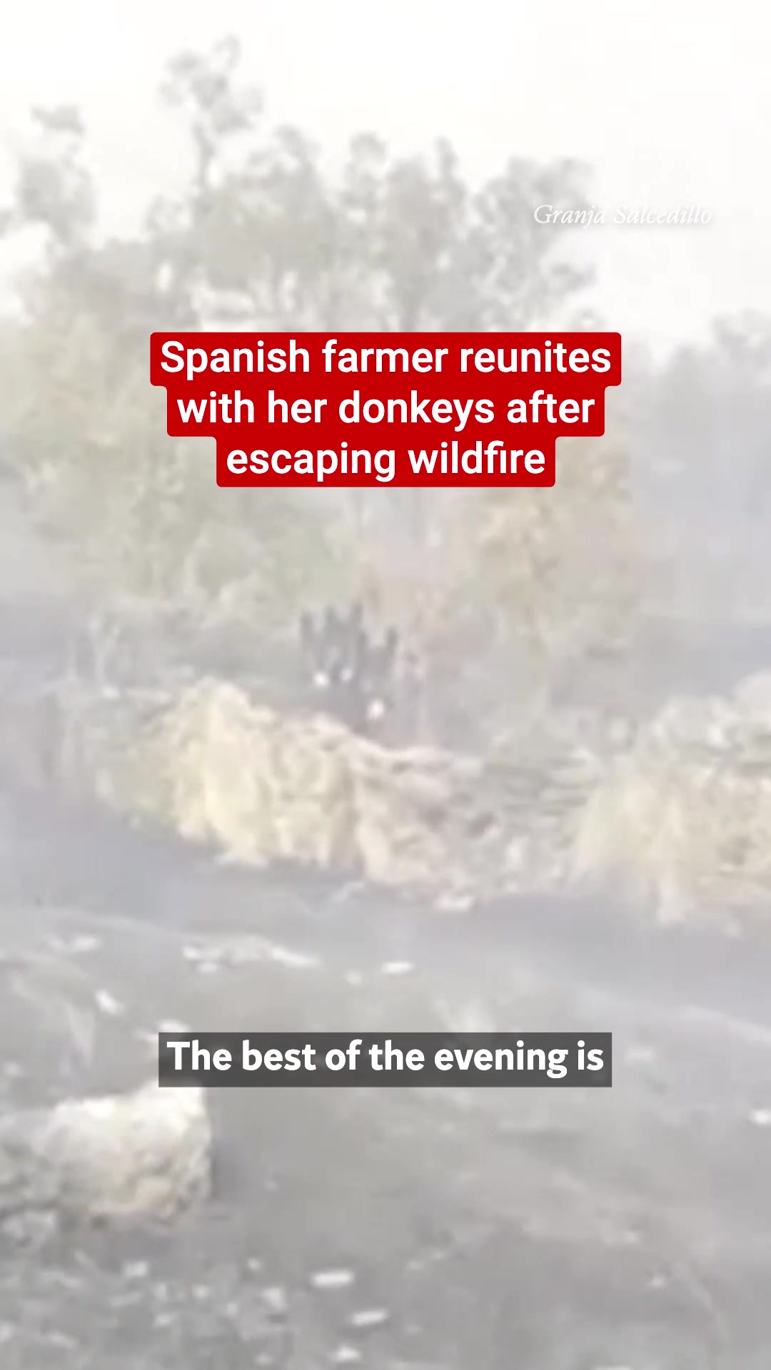 @Independent