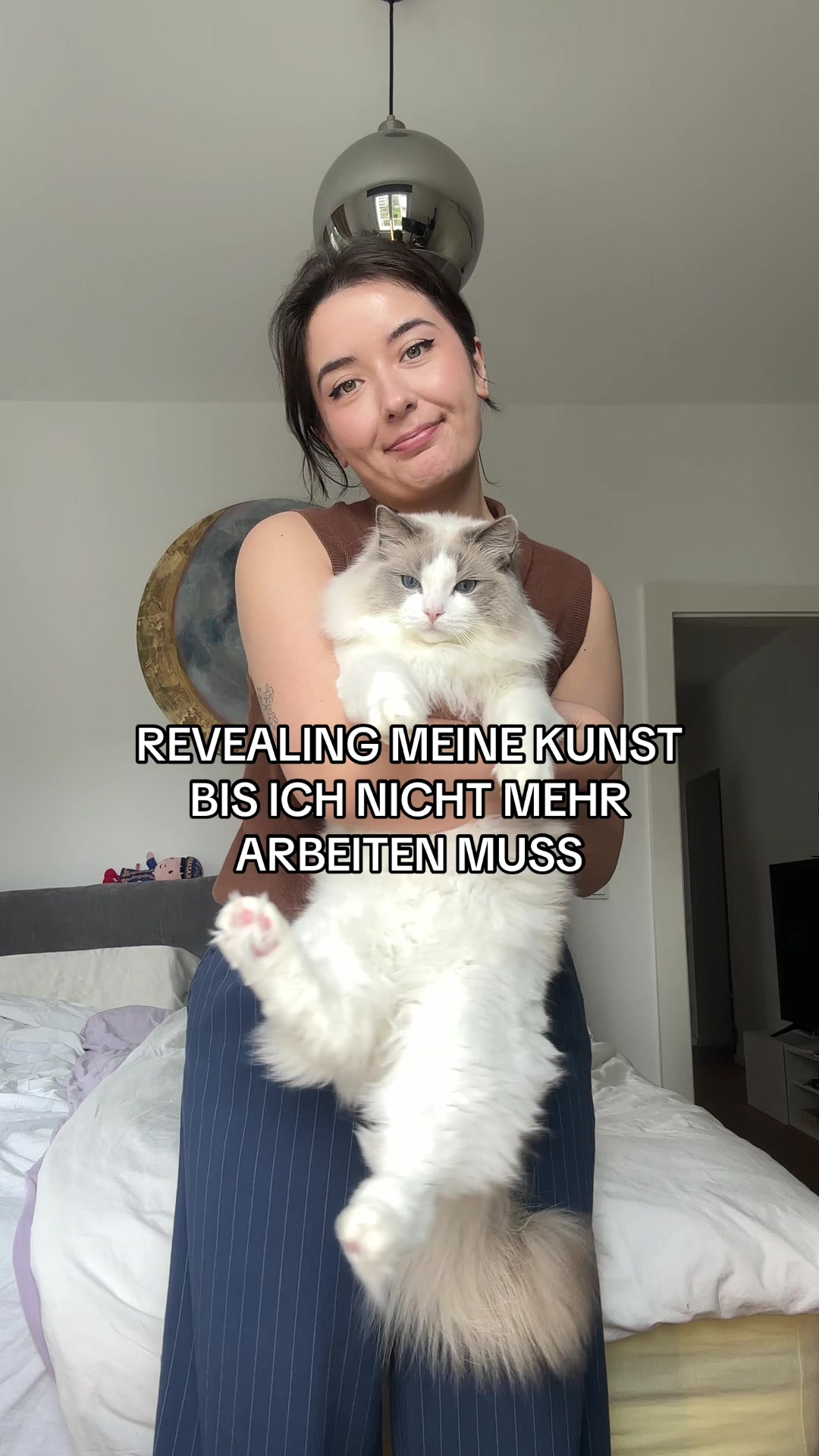 @Sirius Ragdoll