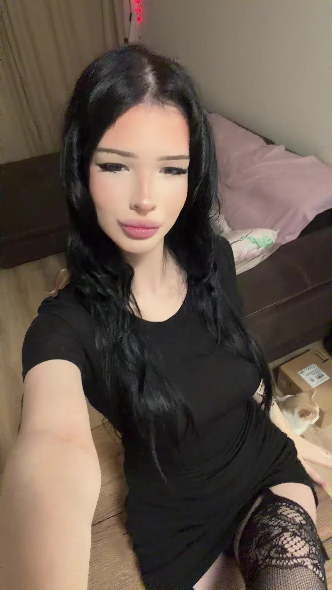 @evviks