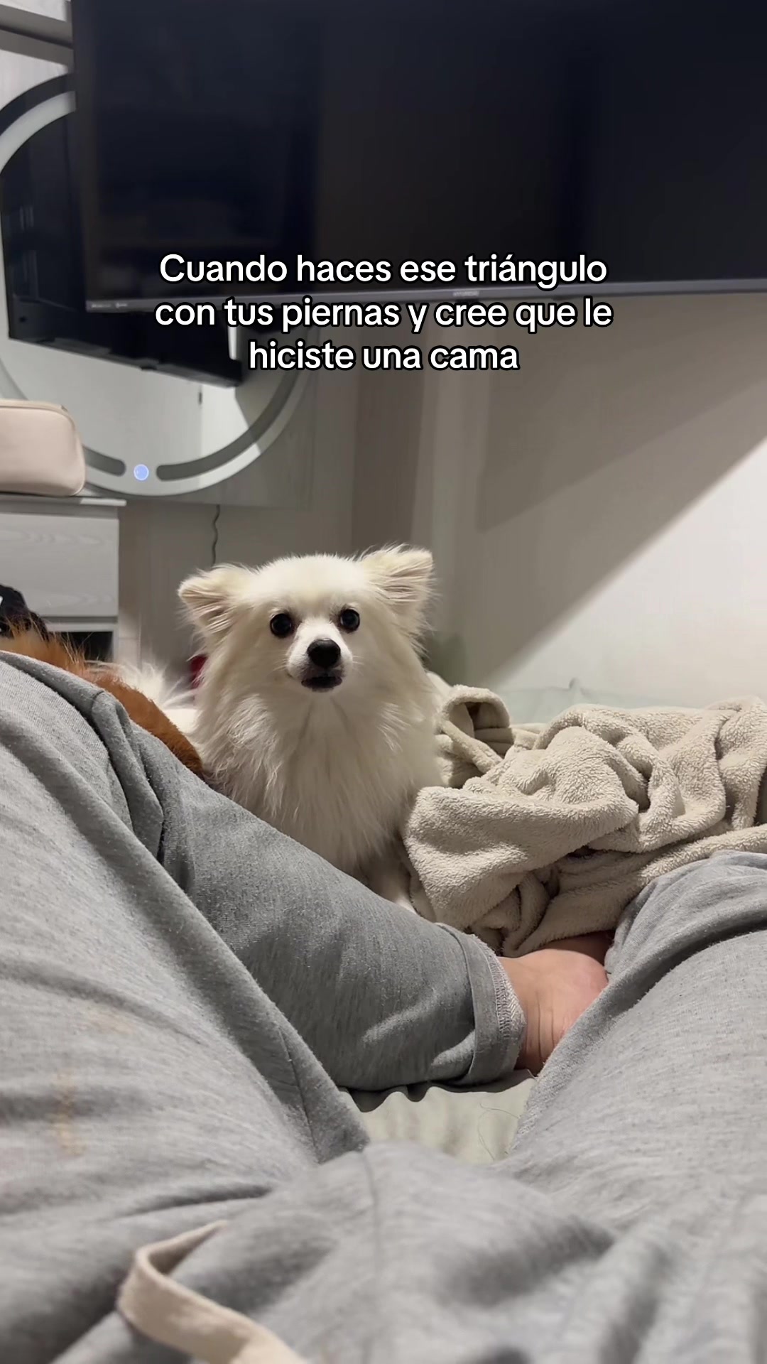 @Cami Cam 👾