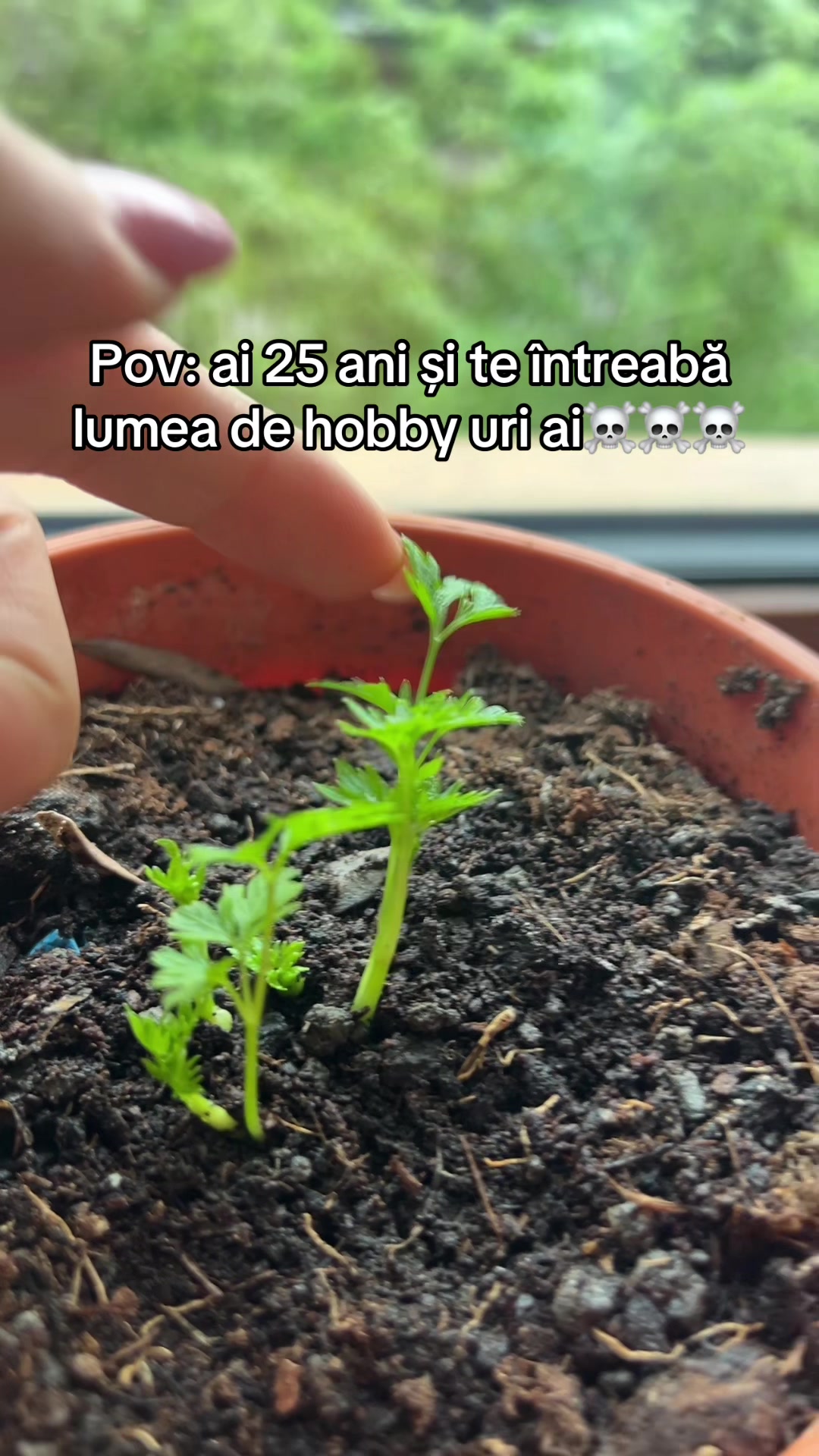 @Mihaela