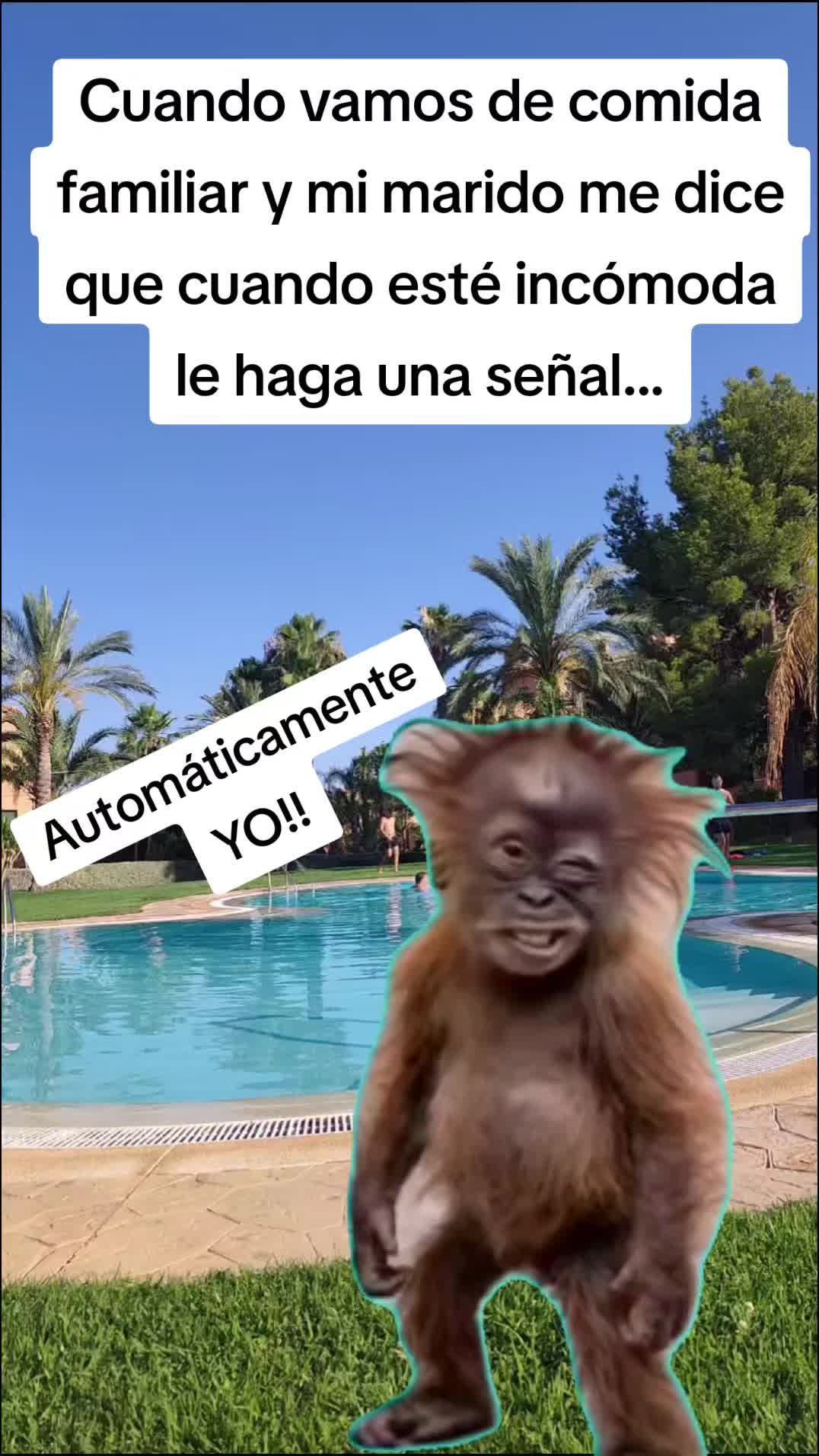 @MirenMC