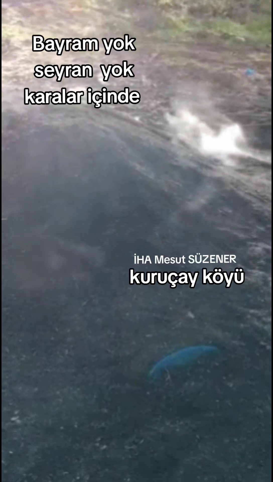 @mesut s&uuml;zener