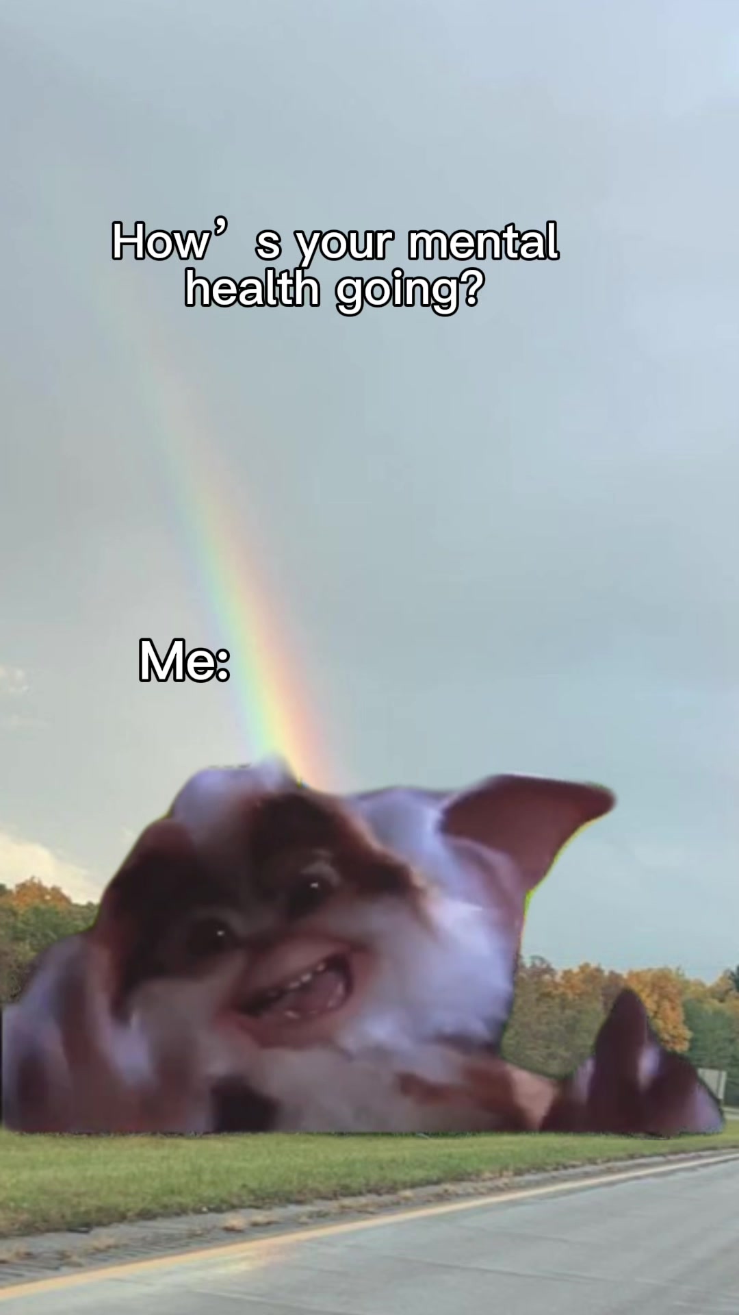 @🫶🏼𝕂𝕚𝕂𝕚🫶🏼