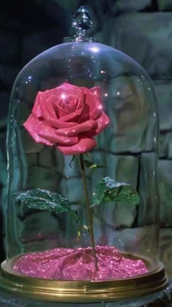 @Psycho♡Faerie ♡