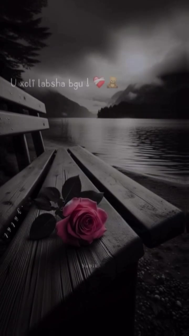 @IBOSH MUZZ