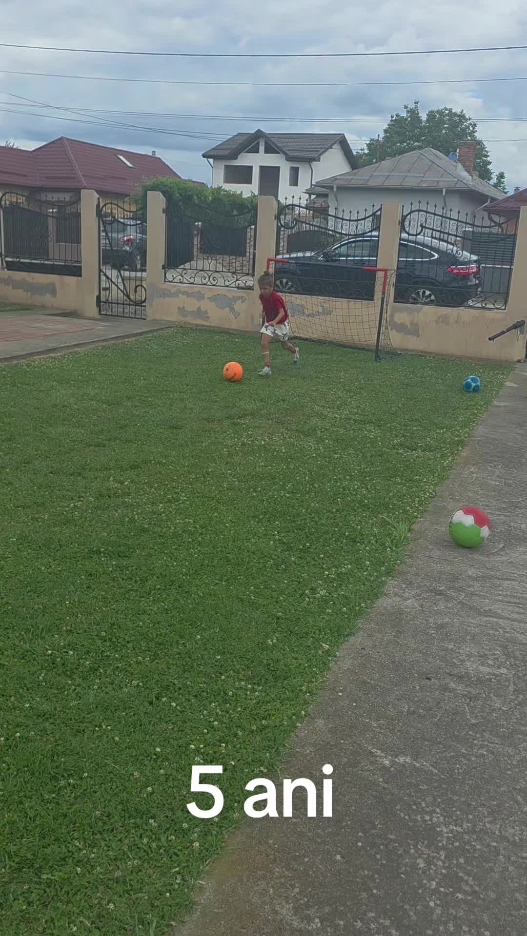 @Zian Leuţul Sudului