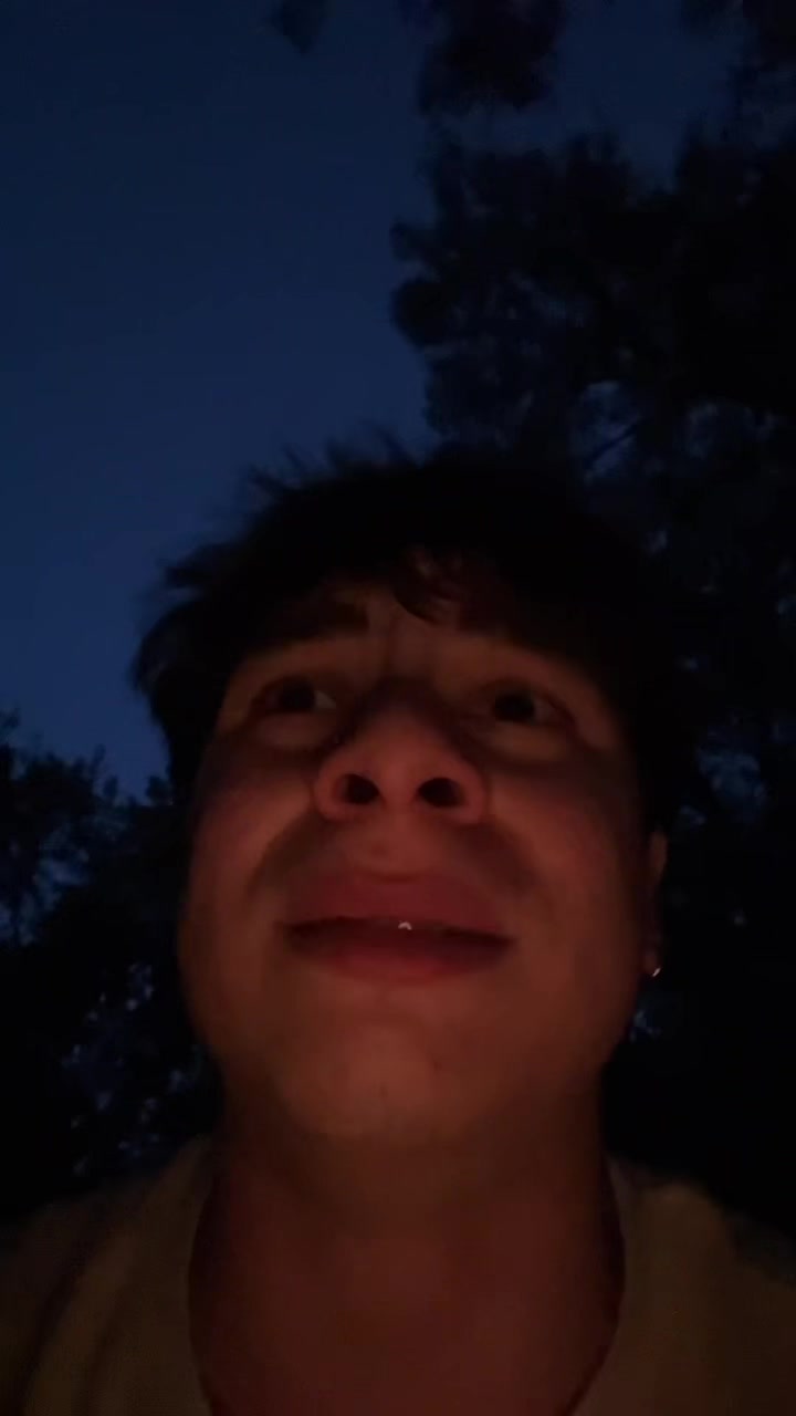 @333.3333.33330