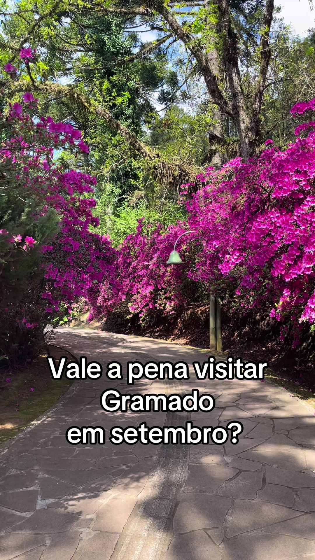 @miriam.gramado