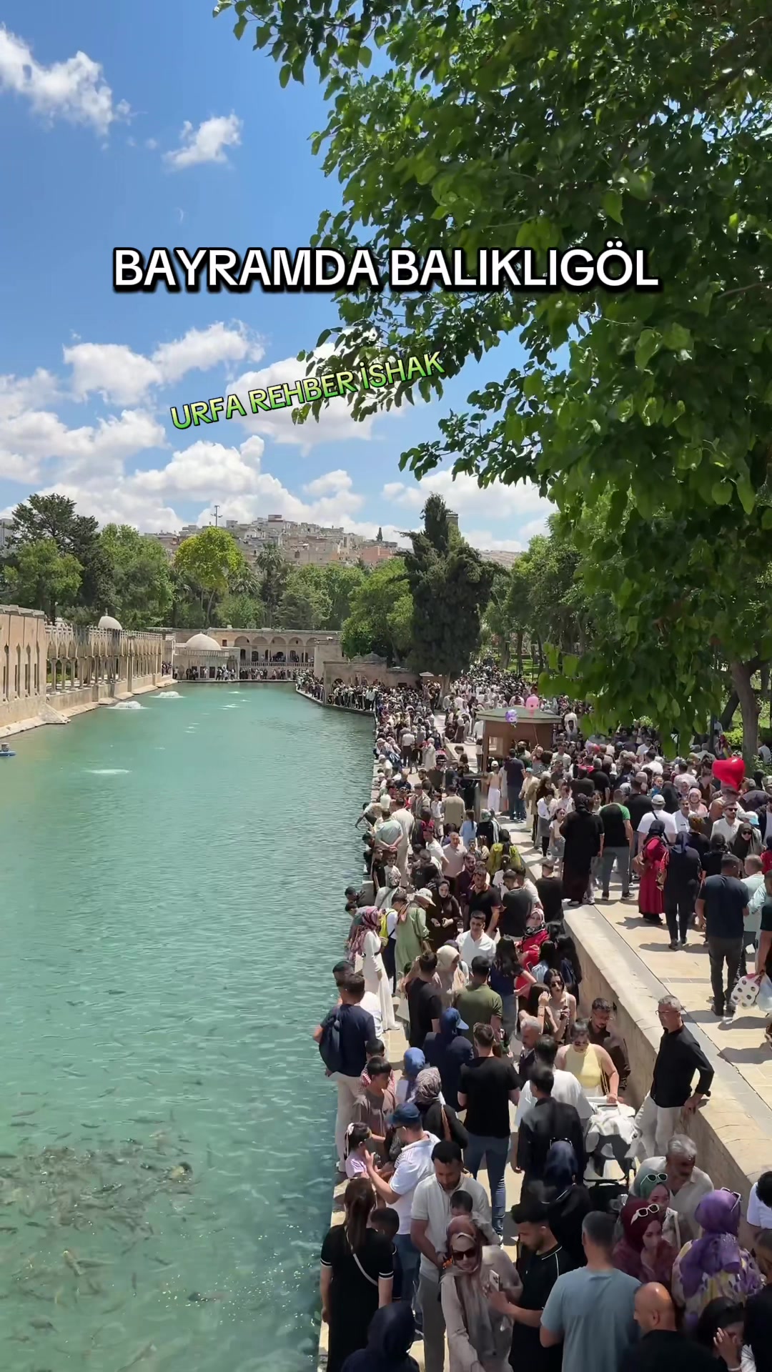 @🟨URFA🟩REHBER🟨İSHAK🟩