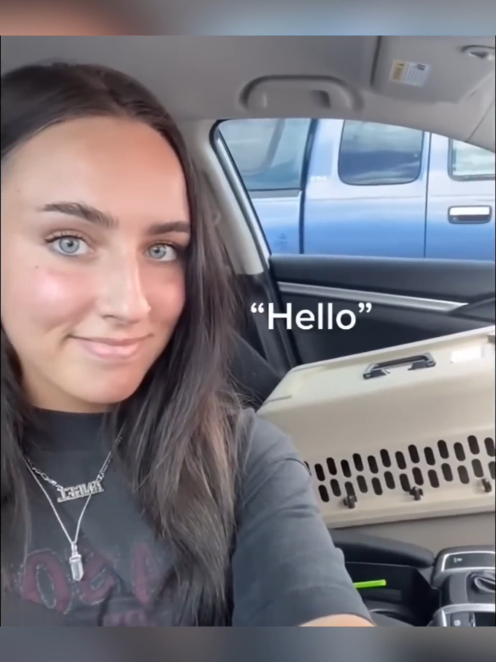 @DailyDoseOfKittyUK