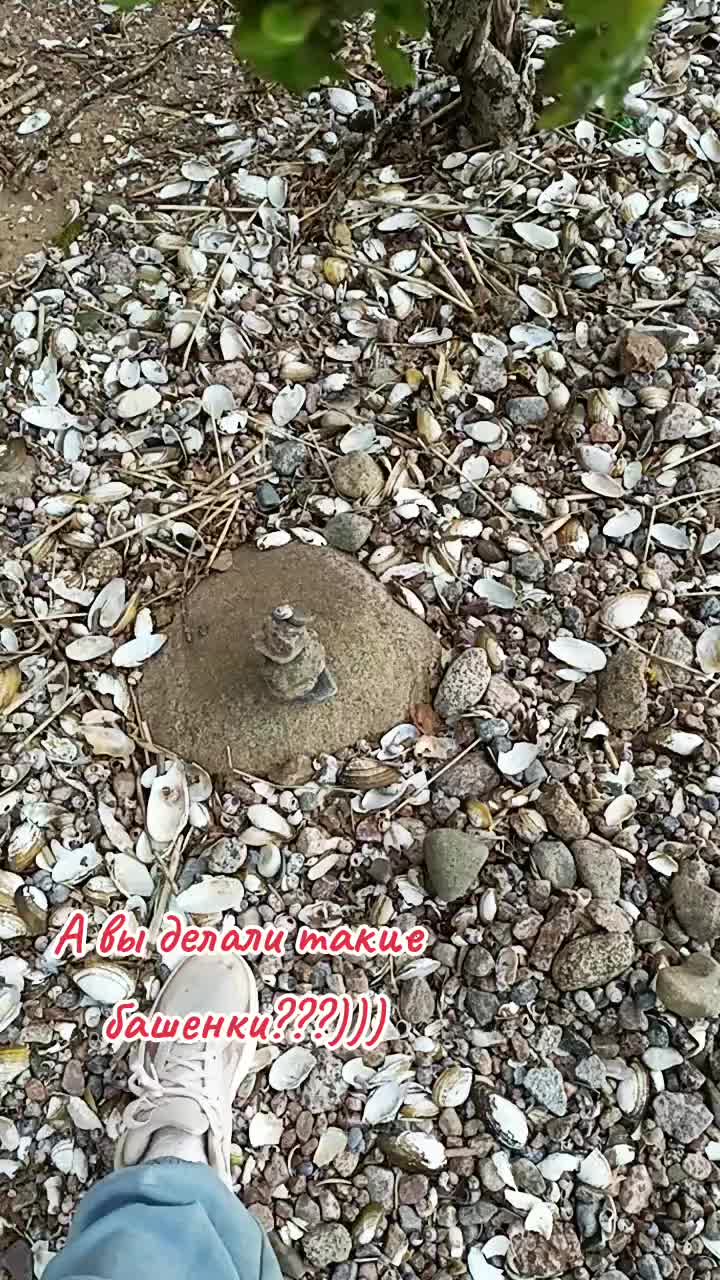 @user2278096979685