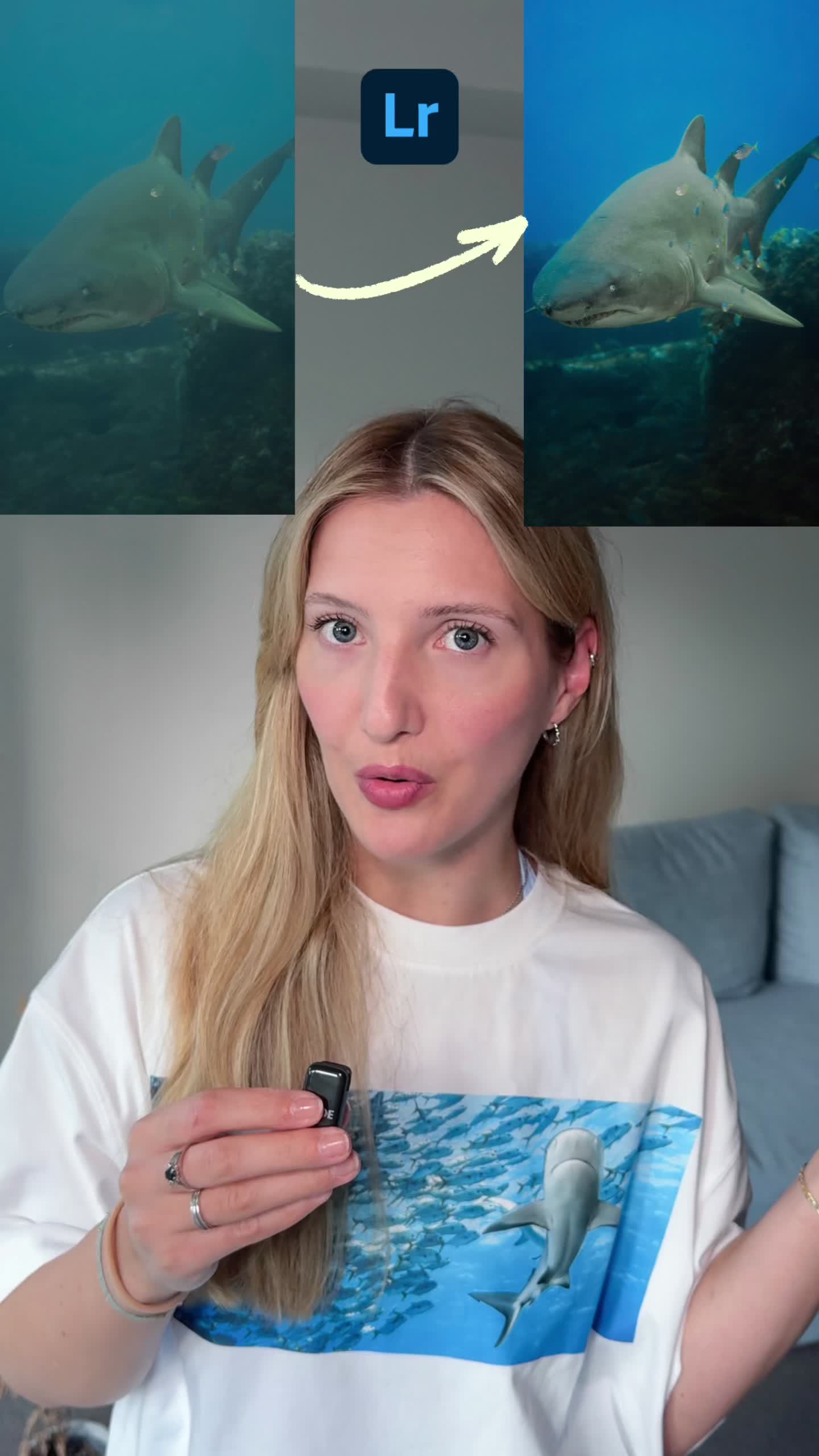 @Gillian Shark
