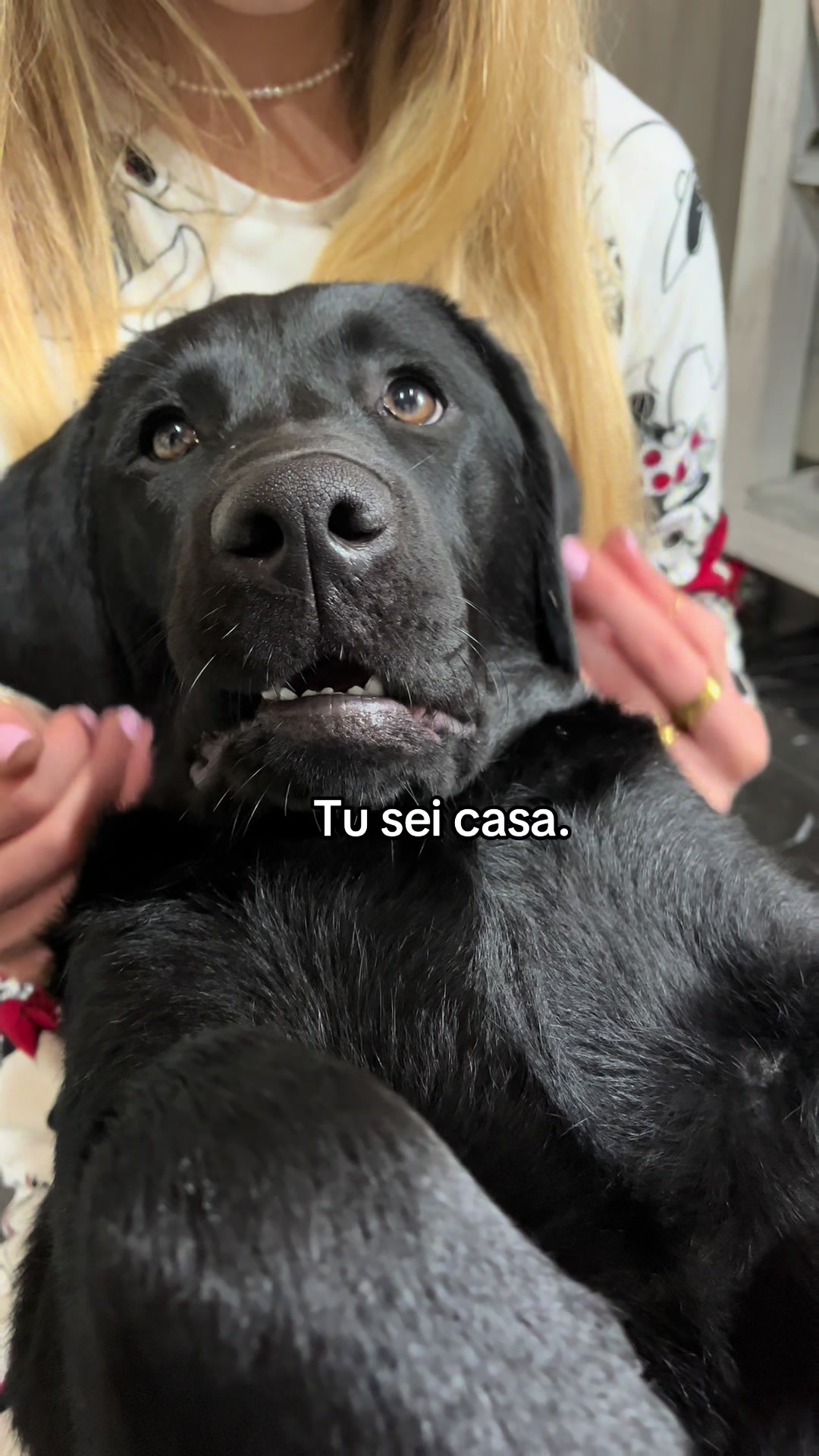 @Cloe e sabry🖤🐾