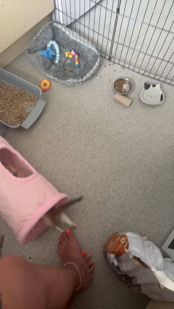 @ðâšRoxanneð«¶ðŒPjQueenâšð
