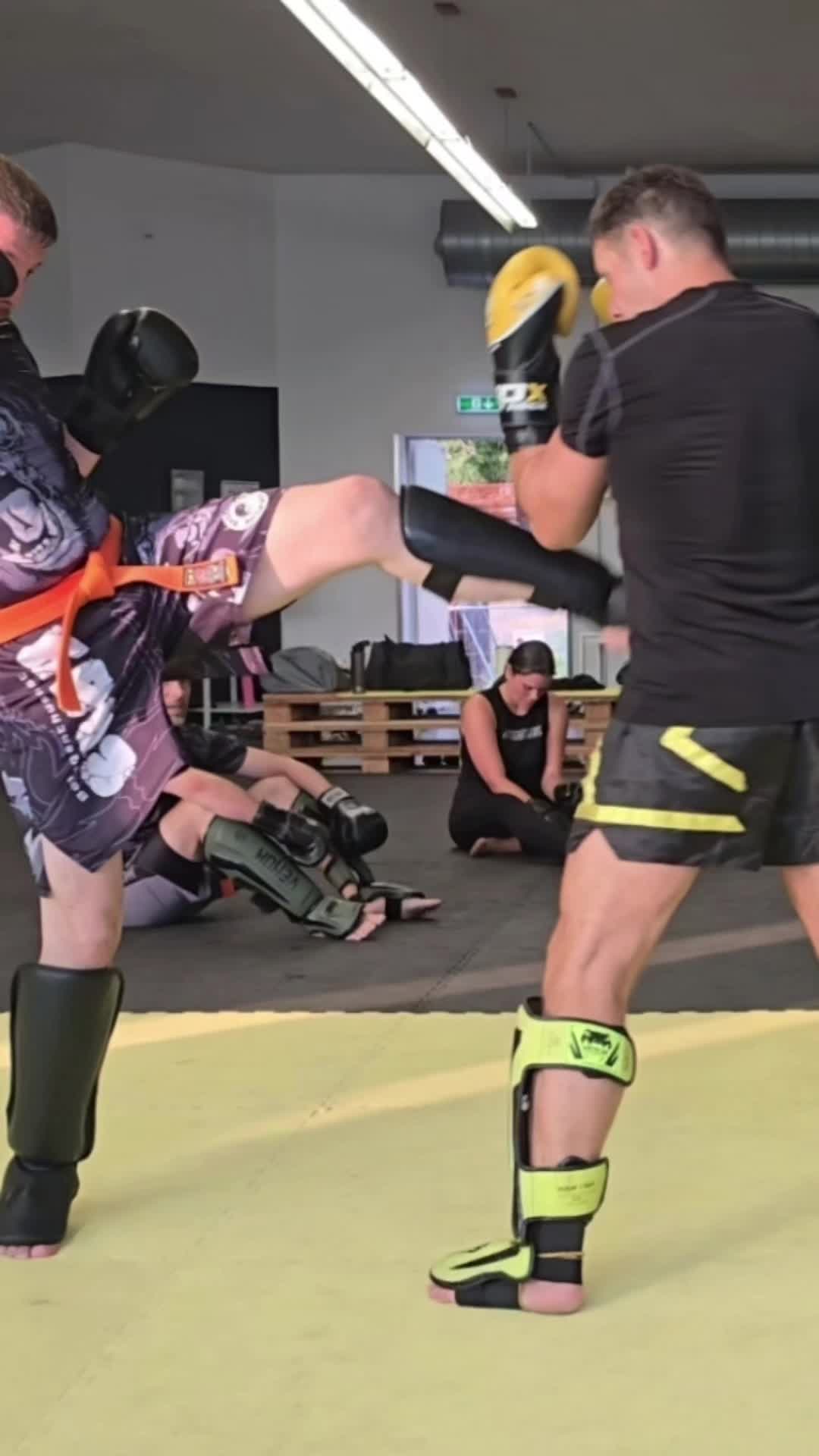 @DIEKICKBOXTRAINER