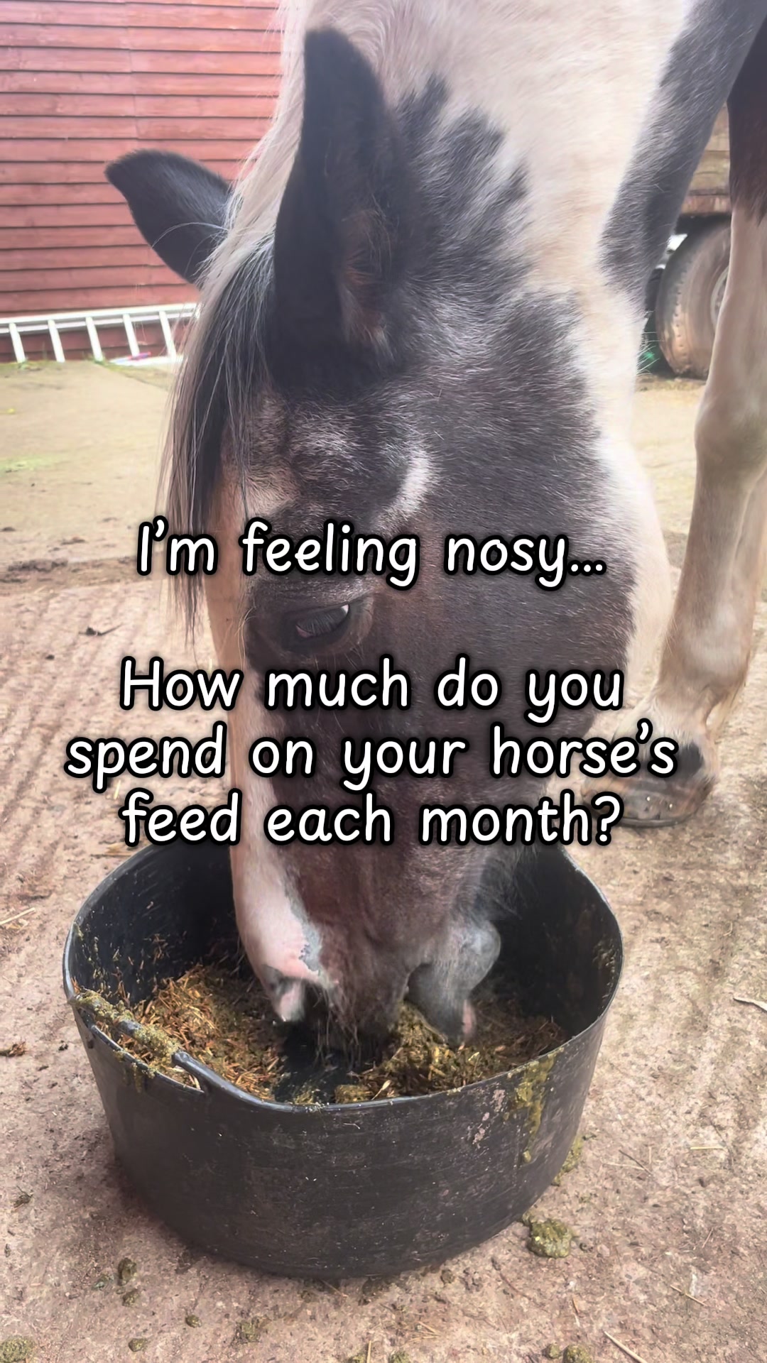@Equine Nutrition With April